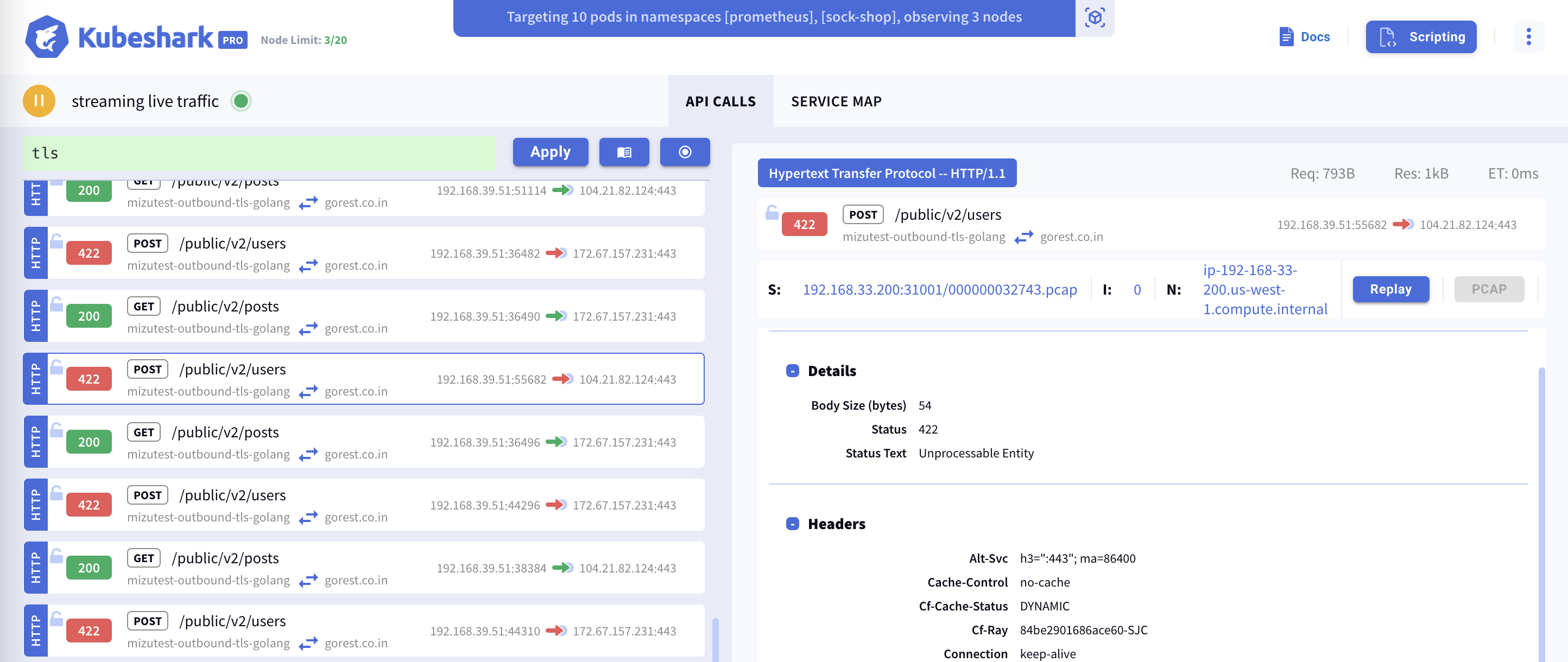 TLS Traffic Example