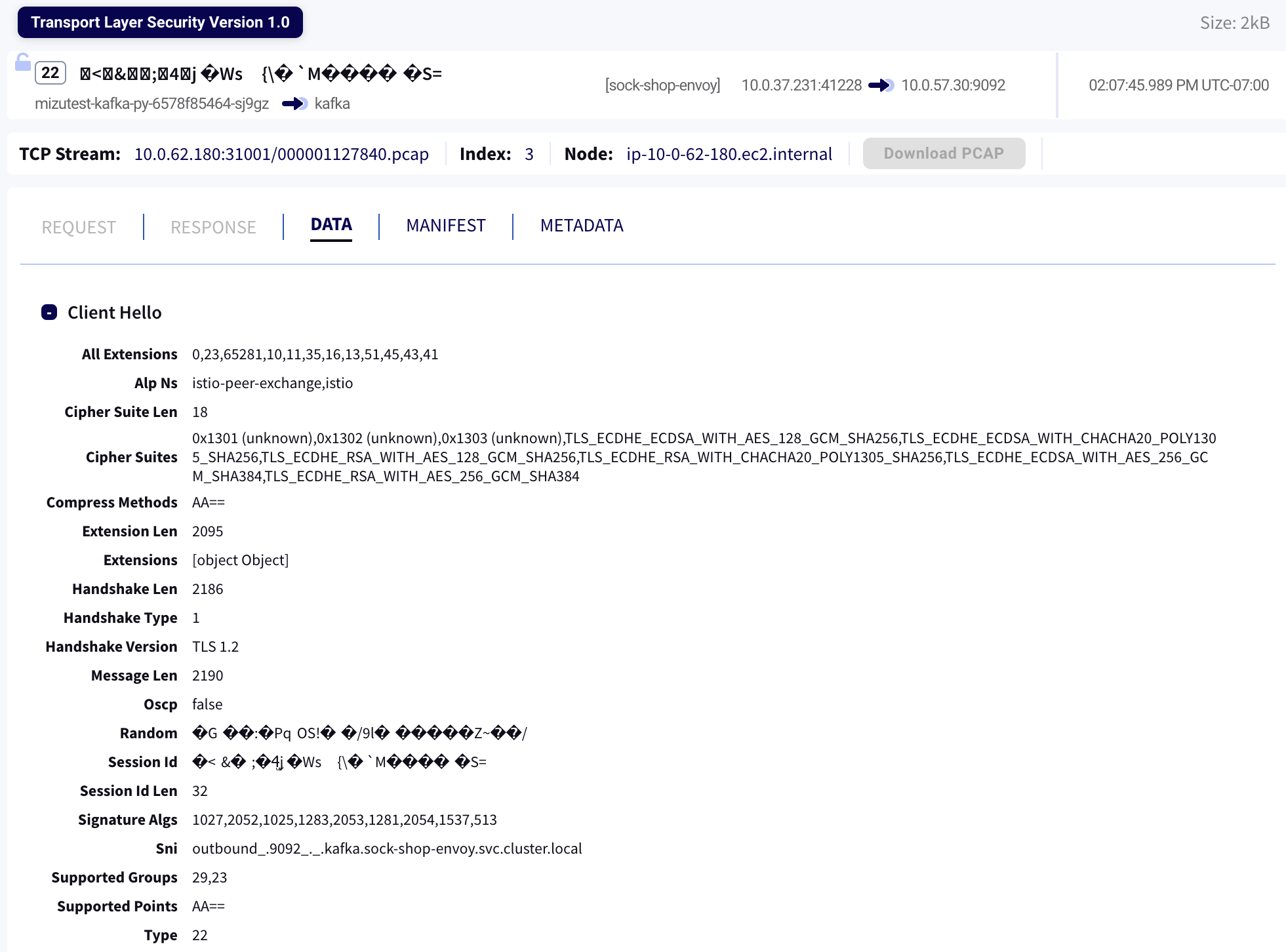 TLS 1.x Items